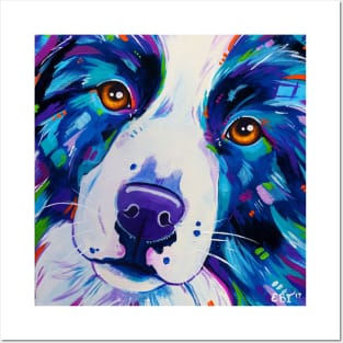 Border Collie Dog Close Up Posters and Art